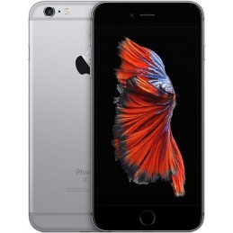 iPhone 6S Plus 128gb Usato Grado A Garanzia 1 anno Grey