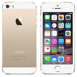 iPhone 5S 64Gb Gold Usato Grado A Garanzia 1 anno